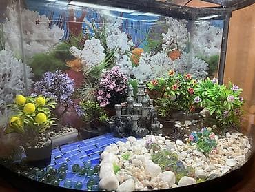 Boş, 200 l, Ünvandan götürmə