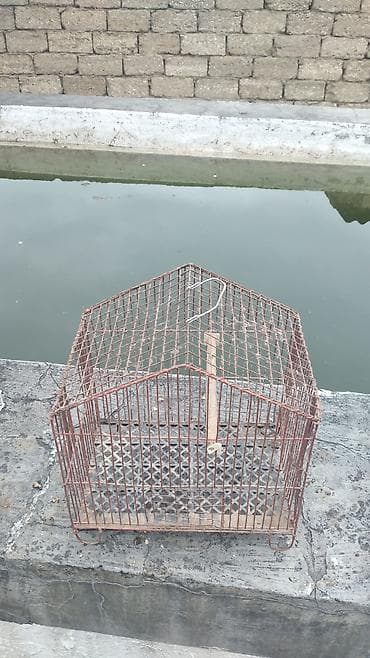 korella quşu: Məhsul: Metraldan quş qəfəsi - Material: möhkəm metal barmaqlıqlar — 2
