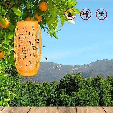 Məişət kimyəvi maddələri: Asma tipli yapışqan milçək, ağcaqanad, arı tələsi – bağ, bostan, meyvə — 1