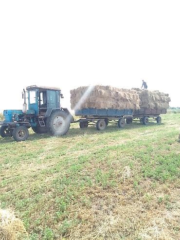 traktor t 28 satisi: İşleg texnkadı prablemi yoxdu ünvan bilesuvar — 2