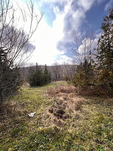 Mənzillər: Kənd təsərrüfatı — 10