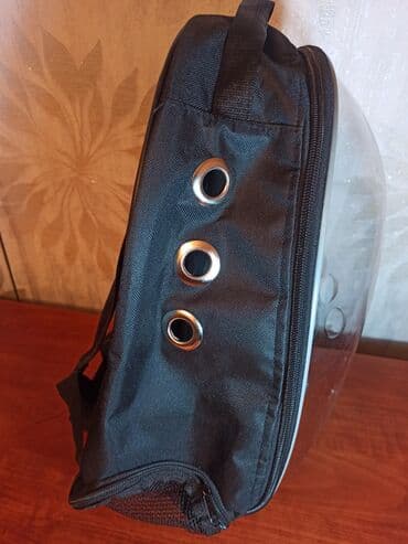 pişik daşıma cantası: Erkək, Dişi — 2