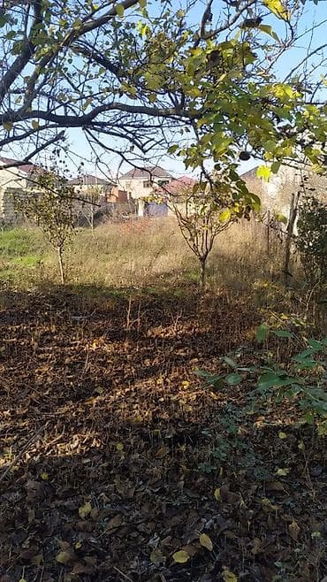 torpaq oğuz: Saray qəsəbəsi. Nazim marketə yaxın. 5.5 sot torpaq satılır — 4