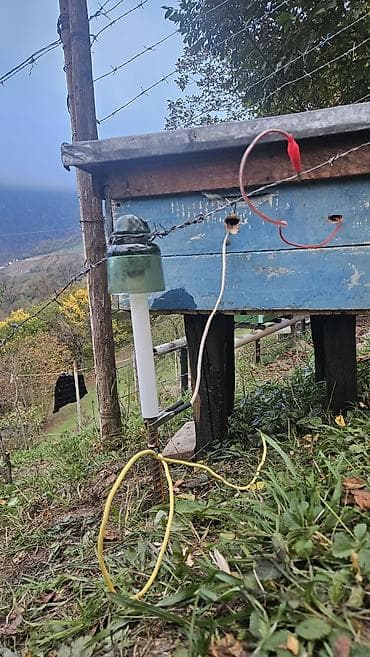 iphone ehtiyyat: Mal-qoyun otaran qurğudur tokcobandir herbir rayona göndəriş var — 8