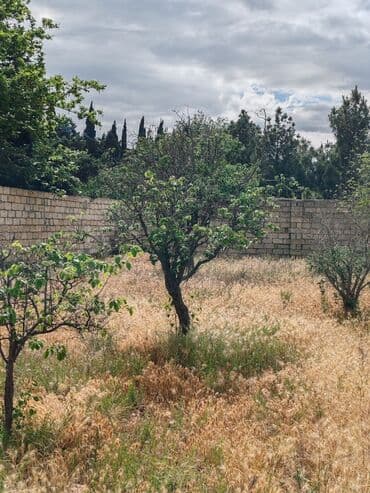 binə emlak: 17 sot, Tikinti, Maklerlər narahat etməsin, Kupça (Çıxarış) — 3