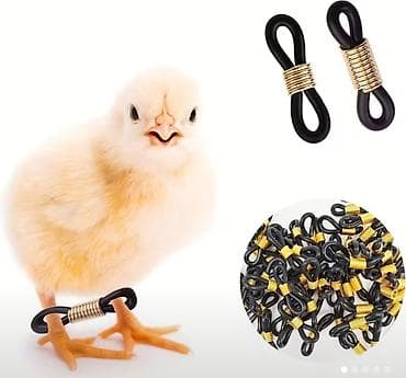 Cücələr üçün Ayaq Düzəldici – İnkubator Cücələrinə Özəl - Qiymət: 2