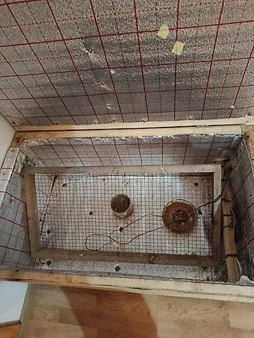 Оборудование для бизнеса: Elektriklə işləyən taxta inkubator/qatarlayıcı kamera - Korpus — 3