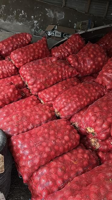 200 kiseden coxdu. ela mehsuldu, bir kise 32 -35 kq gelir. real