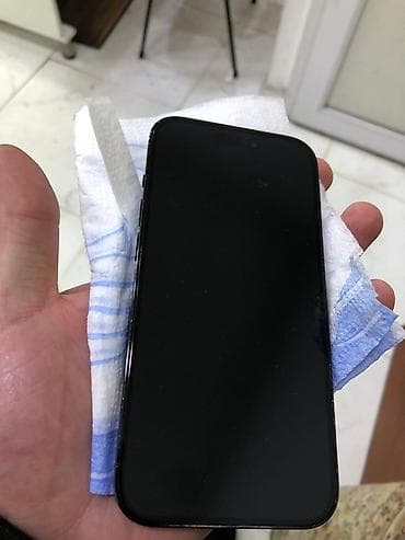 IPhone 14 Pro, Qara