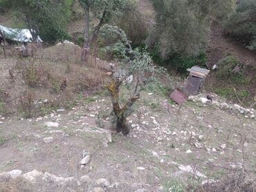 Гаражи: 2 комнаты, 11 м², Средний ремонт — 6