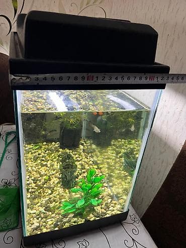 akva: Salam. Zavod istehsali akvarium satilir.Sekilde gorduyunuz kimi qapagi — 6