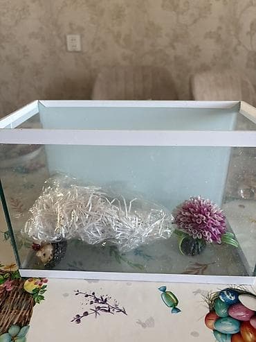 pişikler ucuz: Şüşə akvarium dəsti. - Material: qalın şüşə, ağ rəngli metal/plastik — 1