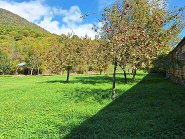 недвижимость в баку: 10 sot, Kupça (Çıxarış) — 5