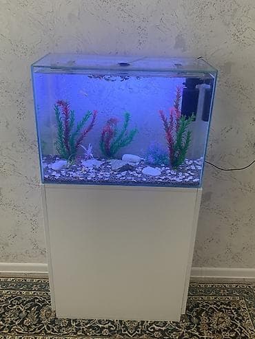 heyvalar: Akvarium-şkaf, Balıqlarla birlikdə, 90 l, Ödənişli çatdırılma, Ünvandan götürmə — 2