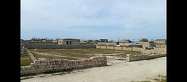 Tikinti