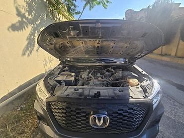 qaz sensoru: Changan Hunter Plus: 1.9 l | 2024 il 15560 km Pikap — 5