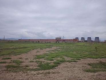 qobuda torpag: Biznes üçün — 1