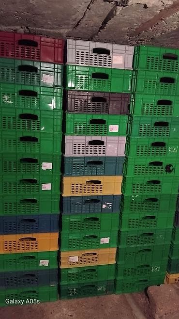 Plastik tara/yeşiklər – çoxsaylı ədəd - Material: qalın, möhkəm — 1