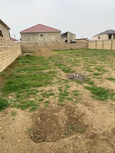 5 sot, Tikinti, Mülkiyyətçi, Kupça (Çıxarış)