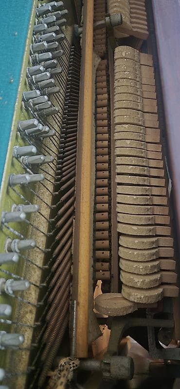 Piano, Belarus, Akustik — 4