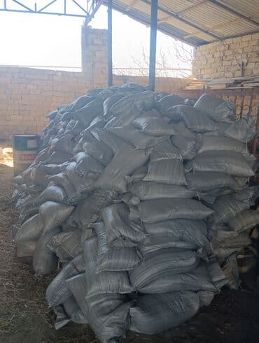 1 eded qizil gul qiymeti: Torf gubresinn satişi torf balaken 2.50 300den cox alana catrlma — 5