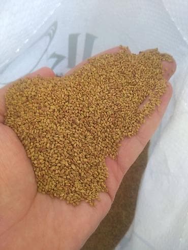 Букетные цветы: Məhsul: Yonca (Medicago sativa) toxumu Təsvir: - Zərif, eyniölçülü — 1