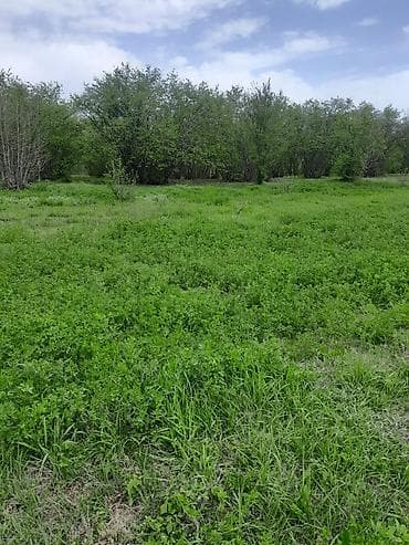 Daraq panellər: Tikinti — 3