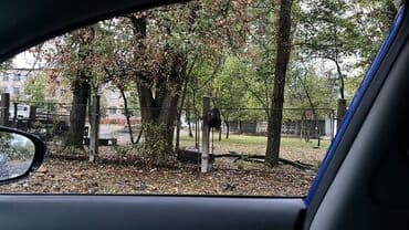 fatmayı torpaq: 10 sot, Kupça (Çıxarış) — 3