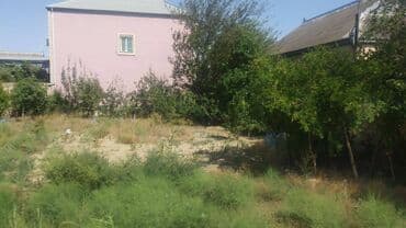 sabuncuda ev: 6 sot, Kənd təsərrüfatı, Mülkiyyətçi, Kupça (Çıxarış) — 3