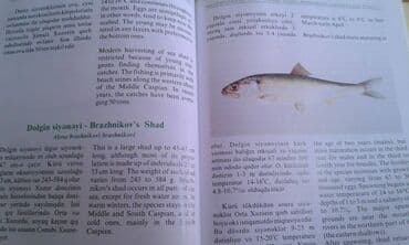 сколько стоит мотоцикл: Müxtəlif kitablar satılır. Biri 40 manat. "Nərəkimilər - dinozavrların — 14