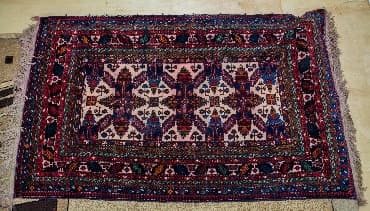 Bitkilər üçün dibçəklər: Xalça — 1