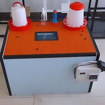 İnkubatorlar: Azərbaycanda inkubator Aparatlarinin Rəsmi satiş mərkəzi Rasif — 2