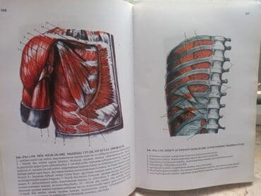magistr 4 jurnali 2021 pdf yukle: Tibi kitab satilir — 2