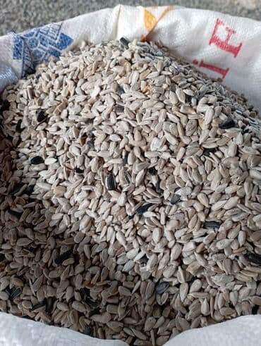 İçkilər: Məhsul: Günəbaxan tumu ləpəsi (qabıqsız) Təsvir: - Təmizlənmiş — 3