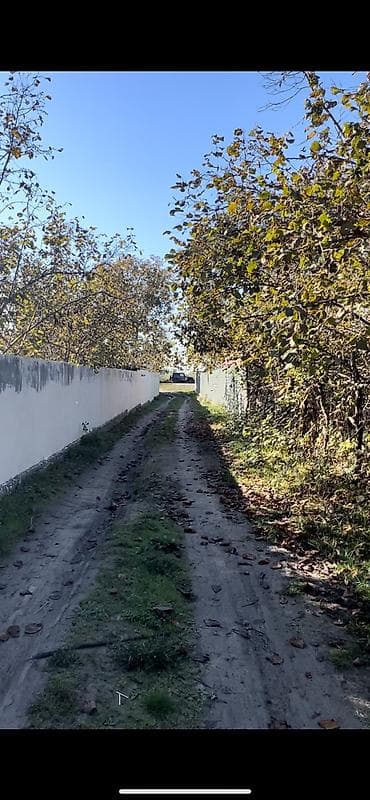 30 sot, Tikinti, Mülkiyyətçi, Kupça (Çıxarış) lalafo.az -da 30 sot, Tikinti, Mülkiyyətçi, Kupça (Çıxarış)