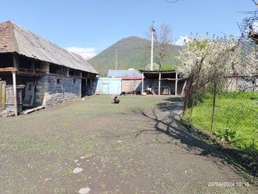 əmlak az ismayıllı: 3 sot, Biznes üçün, Bələdiyyə — 4