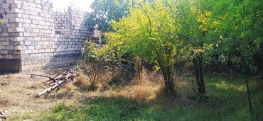 купить дачу в вишневке в баку: Баку, 300 м², 4 комнаты, Без бассейна, Интернет, Телефон, Газ — 4