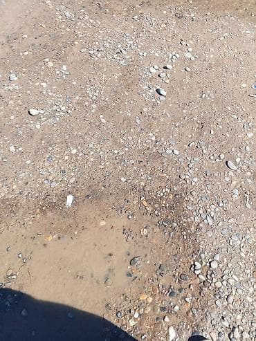 klass kredit moped: Motosiklet – şəhər və kənd yolları üçün praktik, yığcam model — 7