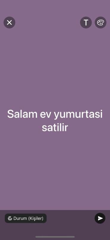 Qaymaq: Ev yumurtası satılır. Təzə və keyfiyyətli ev yumurtaları əldə etmək — 1