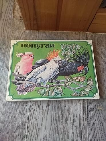 kinder stranger things: Məhsul: “Попугаи” tematik stolüstü uşaq domino dəsti (papuqaylar) — 2
