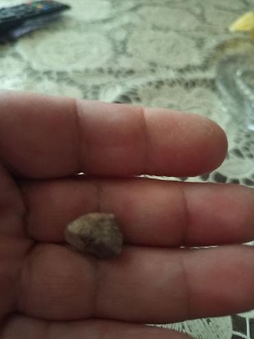 Təbii kolleksiya daşı – kiçik ölçülü, əl ilə toplanmış nümunə - Rəng — 8