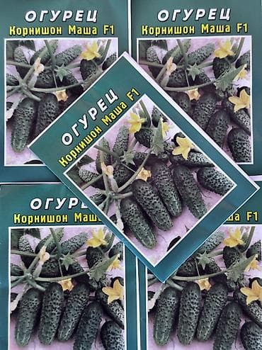zefir bitkisi: Xiyar toxumu 🌱

Satışda bir çox çeşid var — 1