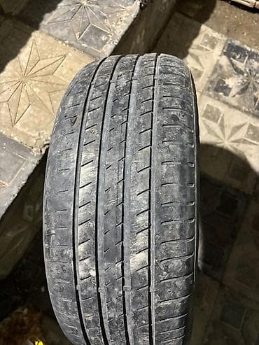 w202 qapi rezini: 195 55 15 - Növ: yay/performans tipli minik avtomobili şini - — 2