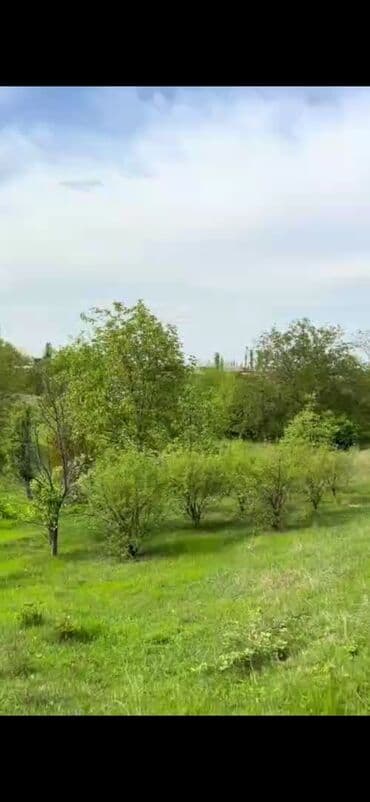berdede kiraye evler: 30 sot, Tikinti, Mülkiyyətçi, Kupça (Çıxarış) — 5