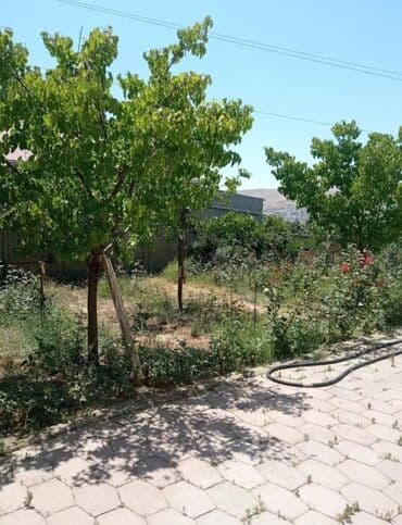 снять дом в баку на длительный срок: 130 м², 4 комнаты — 5