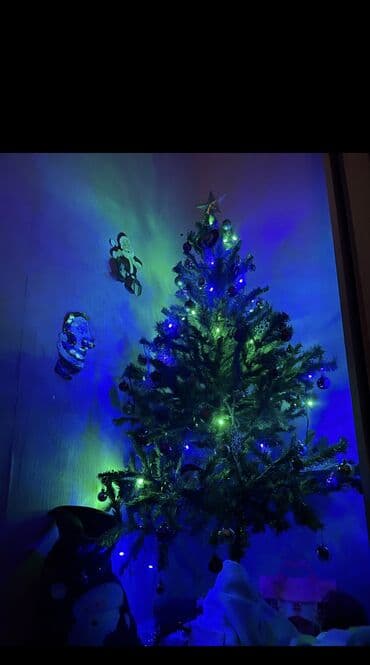 qeleme agaci: 180 sm Yolka Yeni il şam ağacı Iqruskaları ulduzu ustunde hedıyye — 3