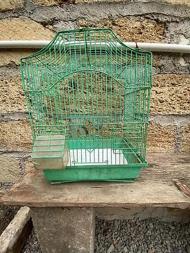 qəfəs: Quş qəfəsi – metal karkaslı, yaşıl rəngdə - Material: toz boya ilə — 7