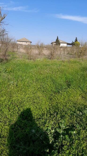 1 комнатная квартира снять: 15 sot, Mülkiyyətçi, Kupça (Çıxarış), Bələdiyyə — 1