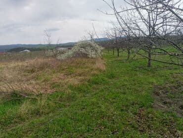 sumqayit kirayə: Kənd təsərrüfatı — 3