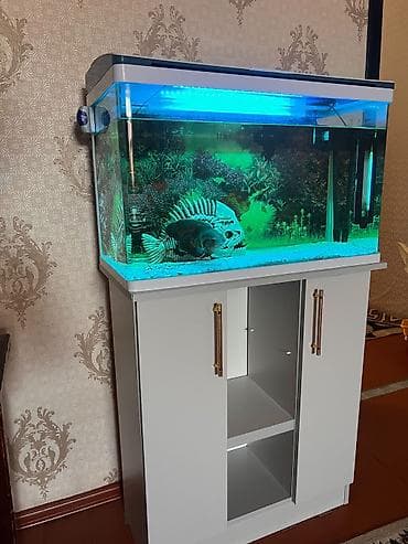 Akvaryum dəsti – LED işıqlı qapaq, daxili filtr sistemi və şkaflı
